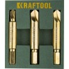 Набор экстракторов KRAFTOOL ЗУБР/54726/26770-Н3 (3 предм.)